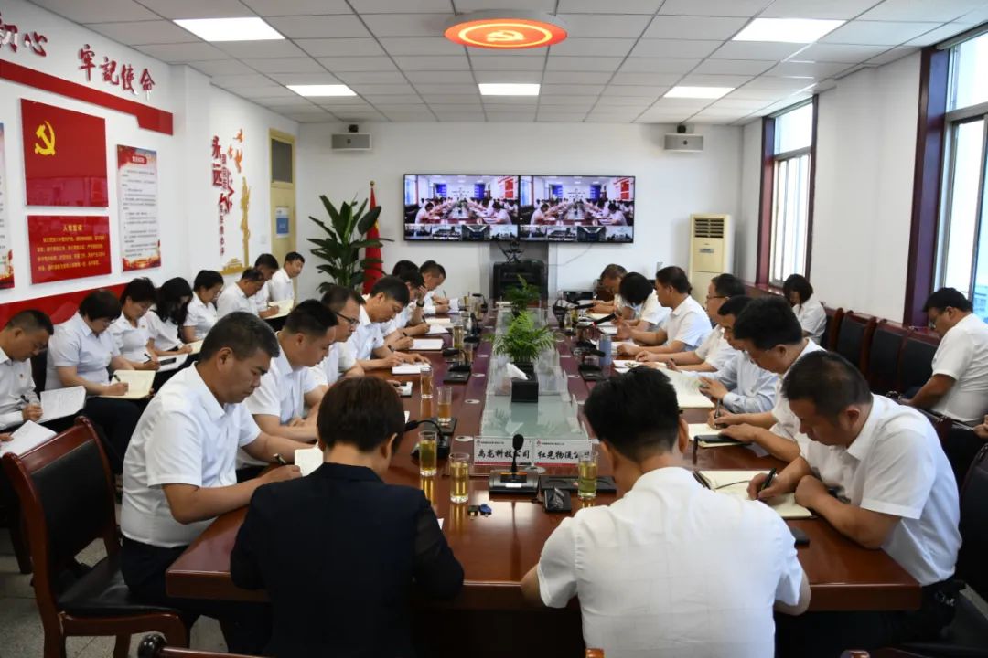 奮楫篤行持續發力 乘勢而上再創佳績——龍鋼集團召開傳達學習陜鋼集團5月份經濟運行分析會精神專題會