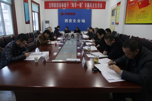 楊海峰指導龍鋼集團領導班子“兩學一做”學習教育專題民主生活會