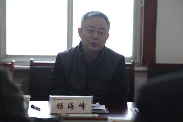 楊海峰指導龍鋼集團領導班子“兩學一做”學習教育專題民主生活會
