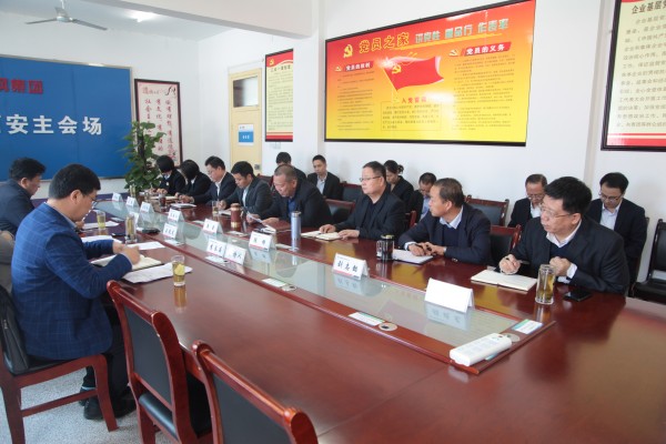 陜鋼集團對龍鋼集團2019年度黨建目標責任落實暨黨風廉政建設情況進行綜合檢查