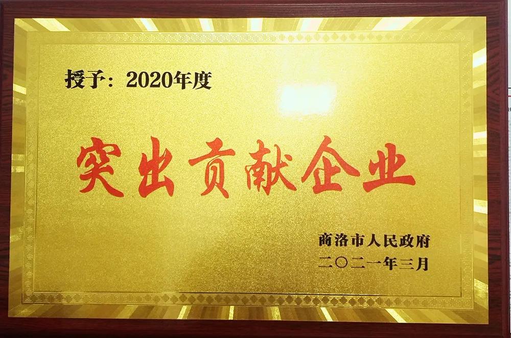大西溝礦業公司獲商洛市“2020年度突出貢獻企業獎”殊榮